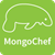 3T MongoChef logo