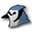 BlueJ logo