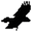 Data Crow logo