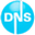 DNS Advantage logo