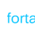 FortaCloud logo