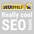 SEO Effect logo