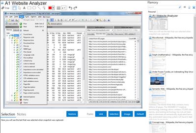 A1 Website Analyzer - Flamory bookmarks and screenshots