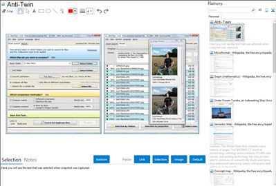 Anti-Twin - Flamory bookmarks and screenshots