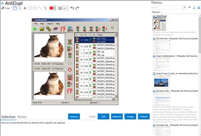 AntiDupl - Flamory bookmarks and screenshots