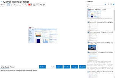 Atemis business cloud - Flamory bookmarks and screenshots