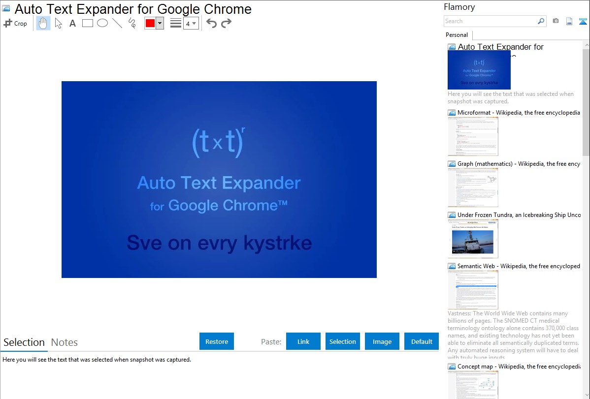 auto text expander not working in chrome