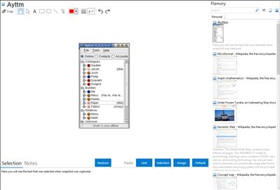 Ayttm - Flamory bookmarks and screenshots