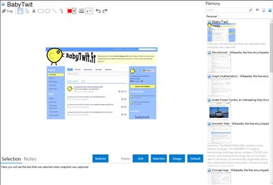 BabyTwit - Flamory bookmarks and screenshots