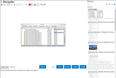 Binreader - Flamory bookmarks and screenshots