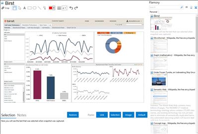 Birst - Flamory bookmarks and screenshots