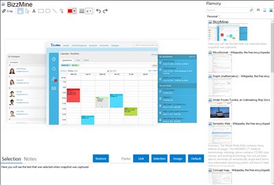 BizzMine - Flamory bookmarks and screenshots