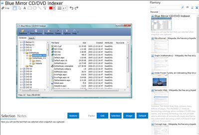 Blue Mirror CD/DVD Indexer - Flamory bookmarks and screenshots
