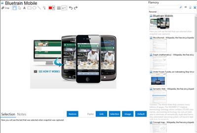 Bluetrain Mobile - Flamory bookmarks and screenshots