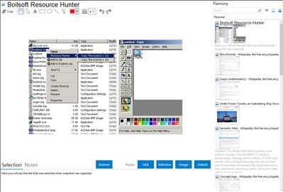 Boilsoft Resource Hunter - Flamory bookmarks and screenshots