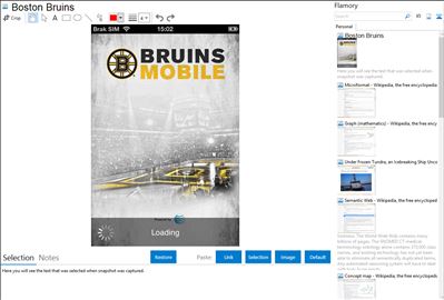 Boston Bruins - Flamory bookmarks and screenshots