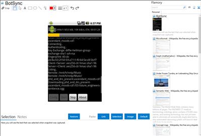 BotSync - Flamory bookmarks and screenshots