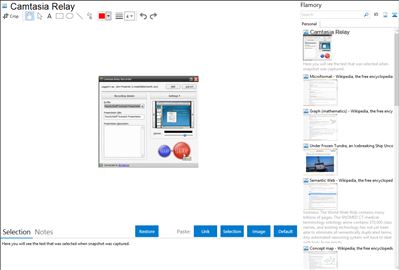 Camtasia Relay - Flamory bookmarks and screenshots