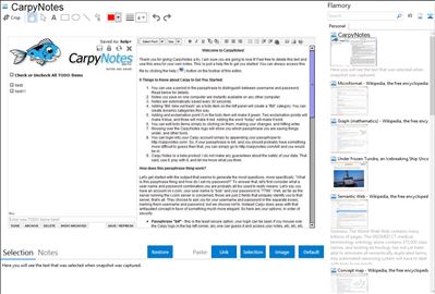 CarpyNotes - Flamory bookmarks and screenshots