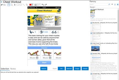 Chest Workout - Flamory bookmarks and screenshots