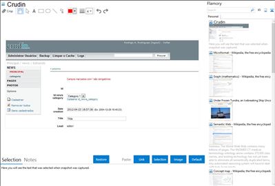 Crudin - Flamory bookmarks and screenshots