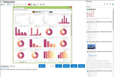 Datacopia - Flamory bookmarks and screenshots