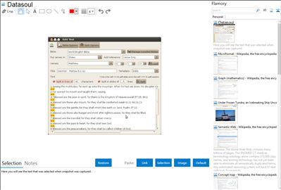 Datasoul - Flamory bookmarks and screenshots