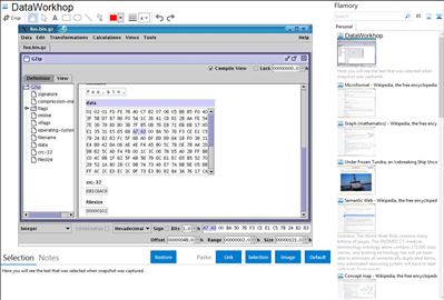 DataWorkhop - Flamory bookmarks and screenshots