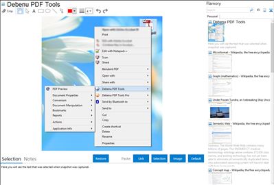 Debenu PDF Tools - Flamory bookmarks and screenshots