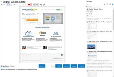 Digital Goods Store - Flamory bookmarks and screenshots