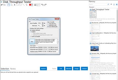 Disk Throughput Tester - Flamory bookmarks and screenshots