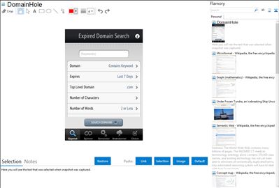 DomainHole - Flamory bookmarks and screenshots