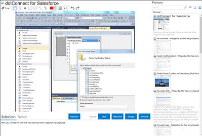dotConnect for Salesforce - Flamory bookmarks and screenshots