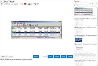 DownTester - Flamory bookmarks and screenshots