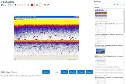 DrDepth - Flamory bookmarks and screenshots