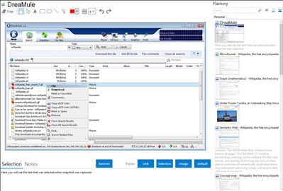 DreaMule - Flamory bookmarks and screenshots
