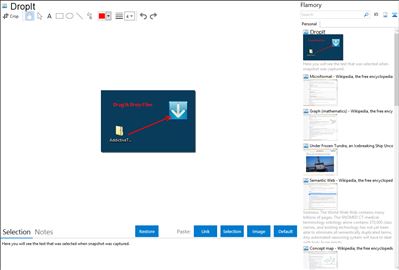 DropIt - Flamory bookmarks and screenshots