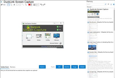  DuckLink Screen Capture - Flamory bookmarks and screenshots