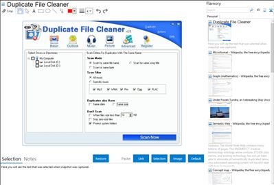 Duplicate File Cleaner - Flamory bookmarks and screenshots