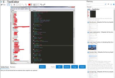 E - TextEditor - Flamory bookmarks and screenshots