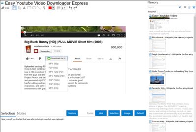 Easy Youtube Video Downloader Express - Flamory bookmarks and screenshots