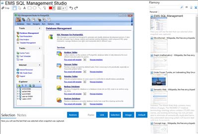EMS SQL Management Studio - Flamory bookmarks and screenshots