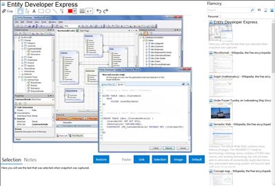 Entity Developer Express - Flamory bookmarks and screenshots