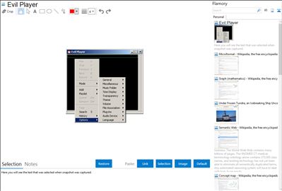 Evil Player - Flamory bookmarks and screenshots