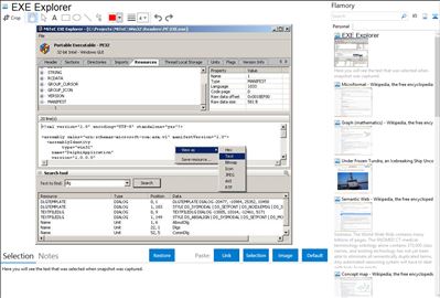 EXE Explorer - Flamory bookmarks and screenshots