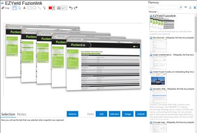 EZYield Fuzionlink - Flamory bookmarks and screenshots