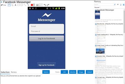 Facebook Messenger - Flamory bookmarks and screenshots
