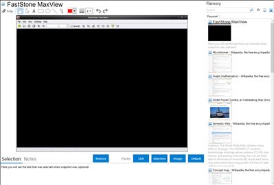 FastStone MaxView - Flamory bookmarks and screenshots