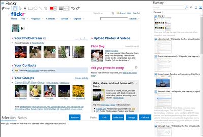 Flickr - Flamory bookmarks and screenshots