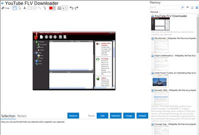 YouTube FLV Downloader - Flamory bookmarks and screenshots